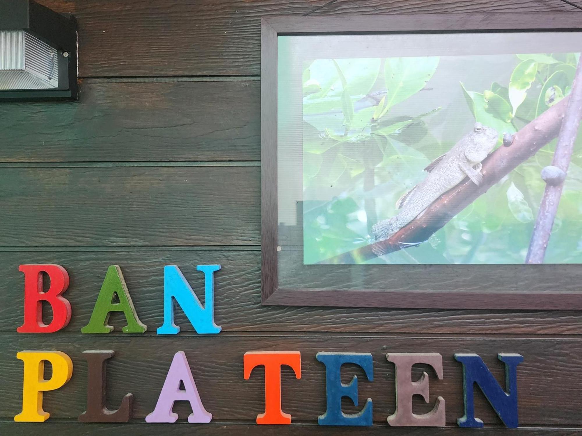 Phang Nga Bay Khanittha Homestay Ban Khiam Dış mekan fotoğraf