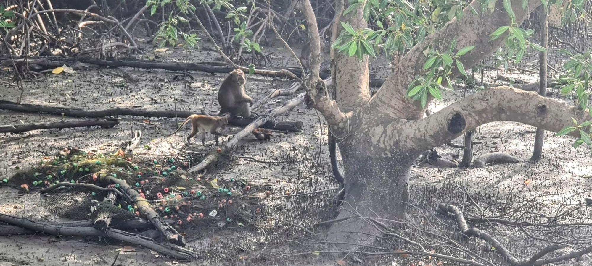 Phang Nga Bay Khanittha Homestay Ban Khiam Dış mekan fotoğraf